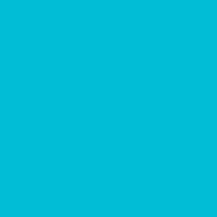 Newsvoice 2.0 logo