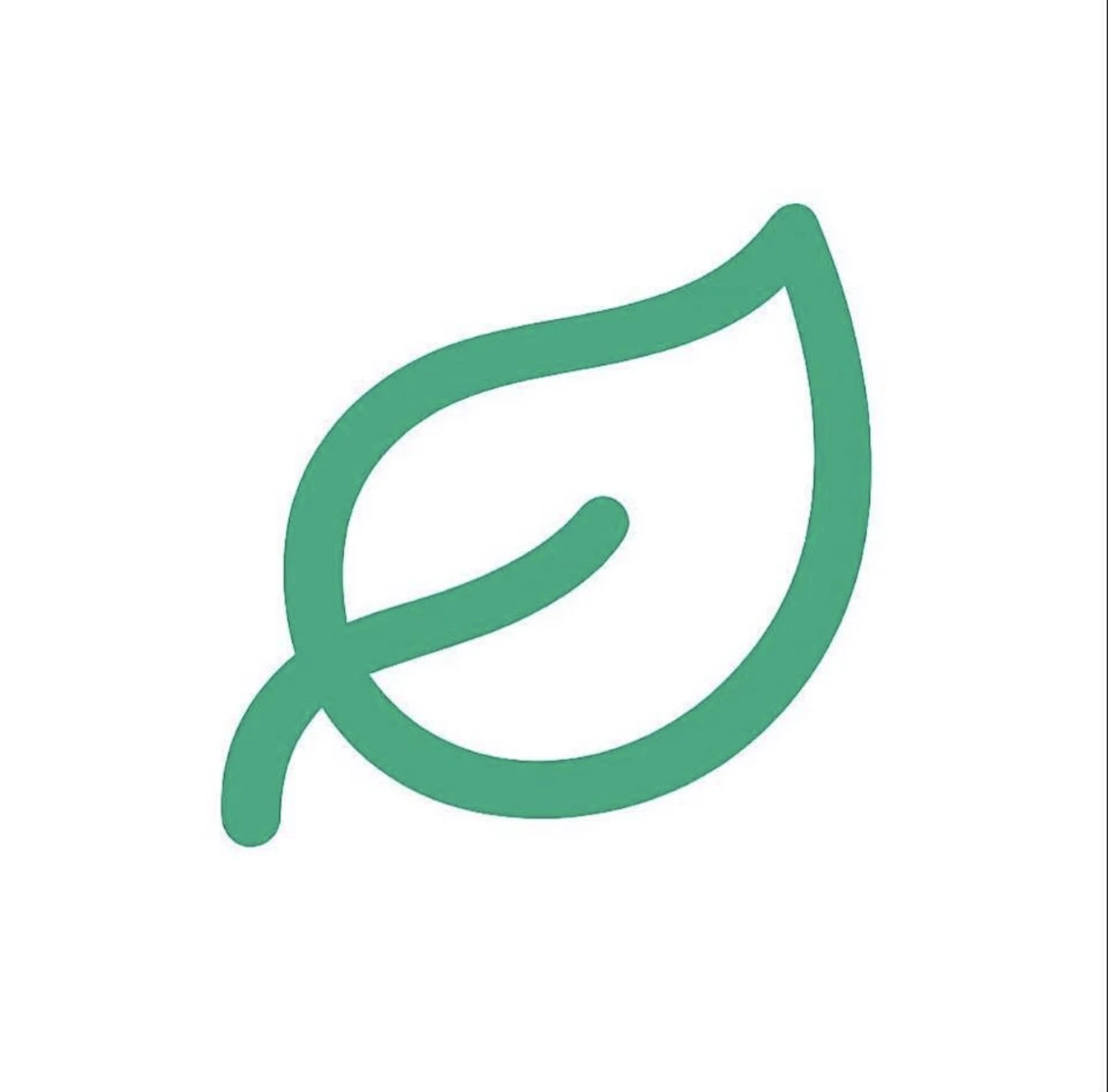 MINT logo