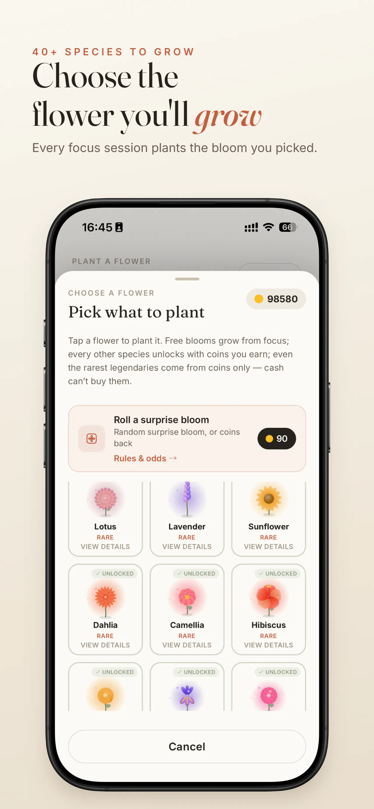 Focus Bloom: Grow & Study gallery image