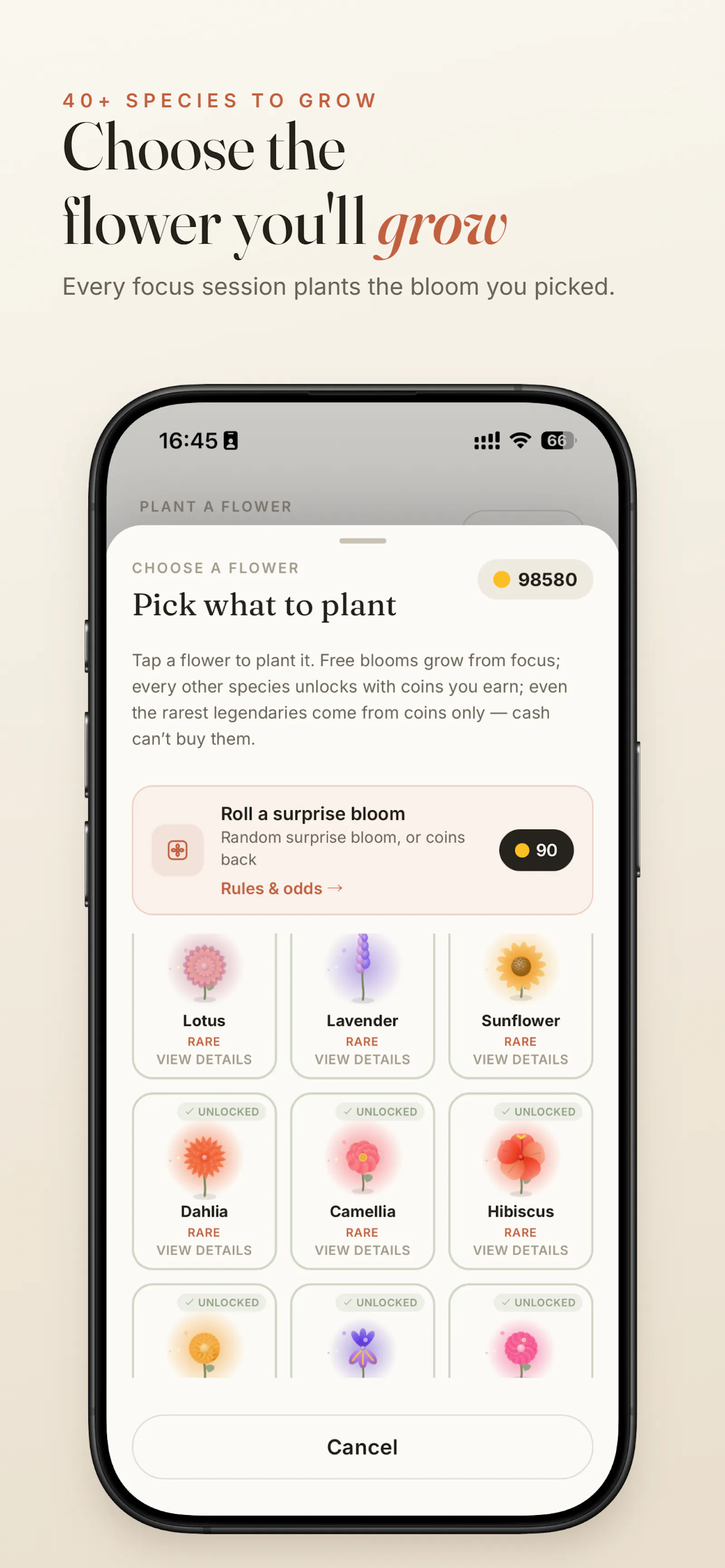 Focus Bloom: Grow & Study screenshot 2
