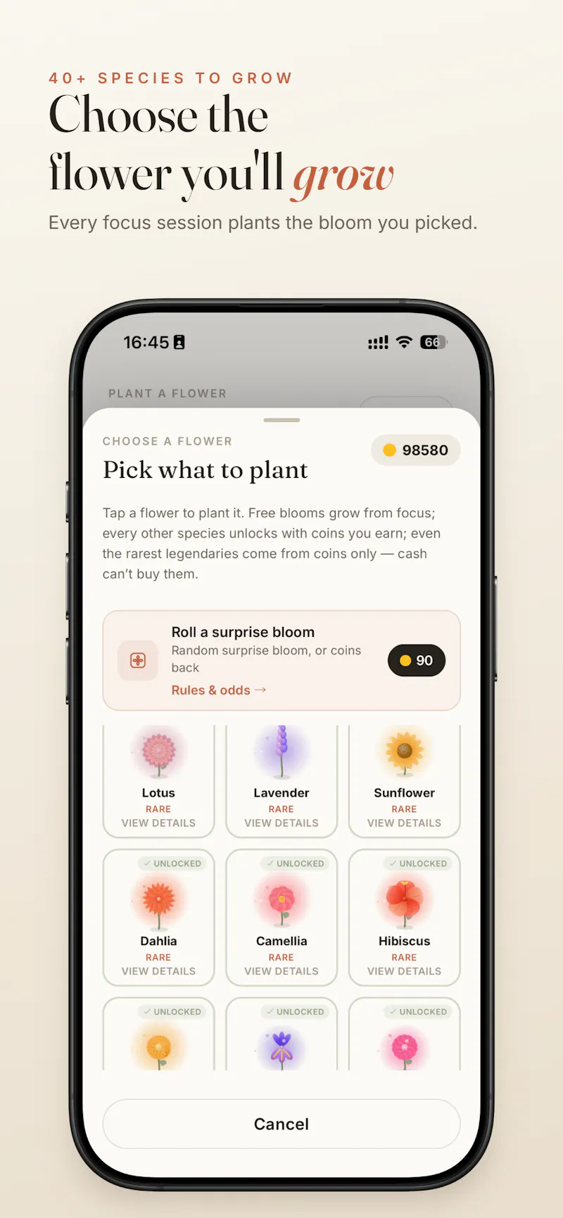 Focus Bloom: Grow & Study screenshot 2