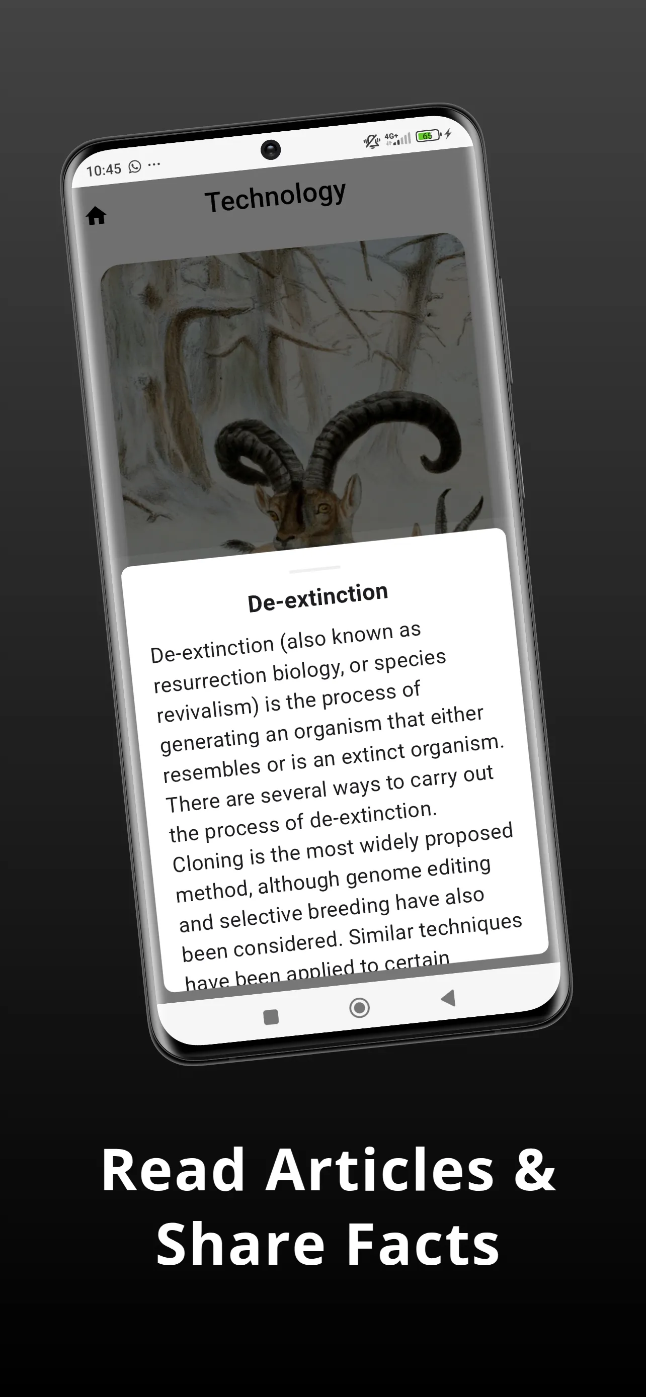 WikiReel - Wikipedia Meets Tiktok gallery image