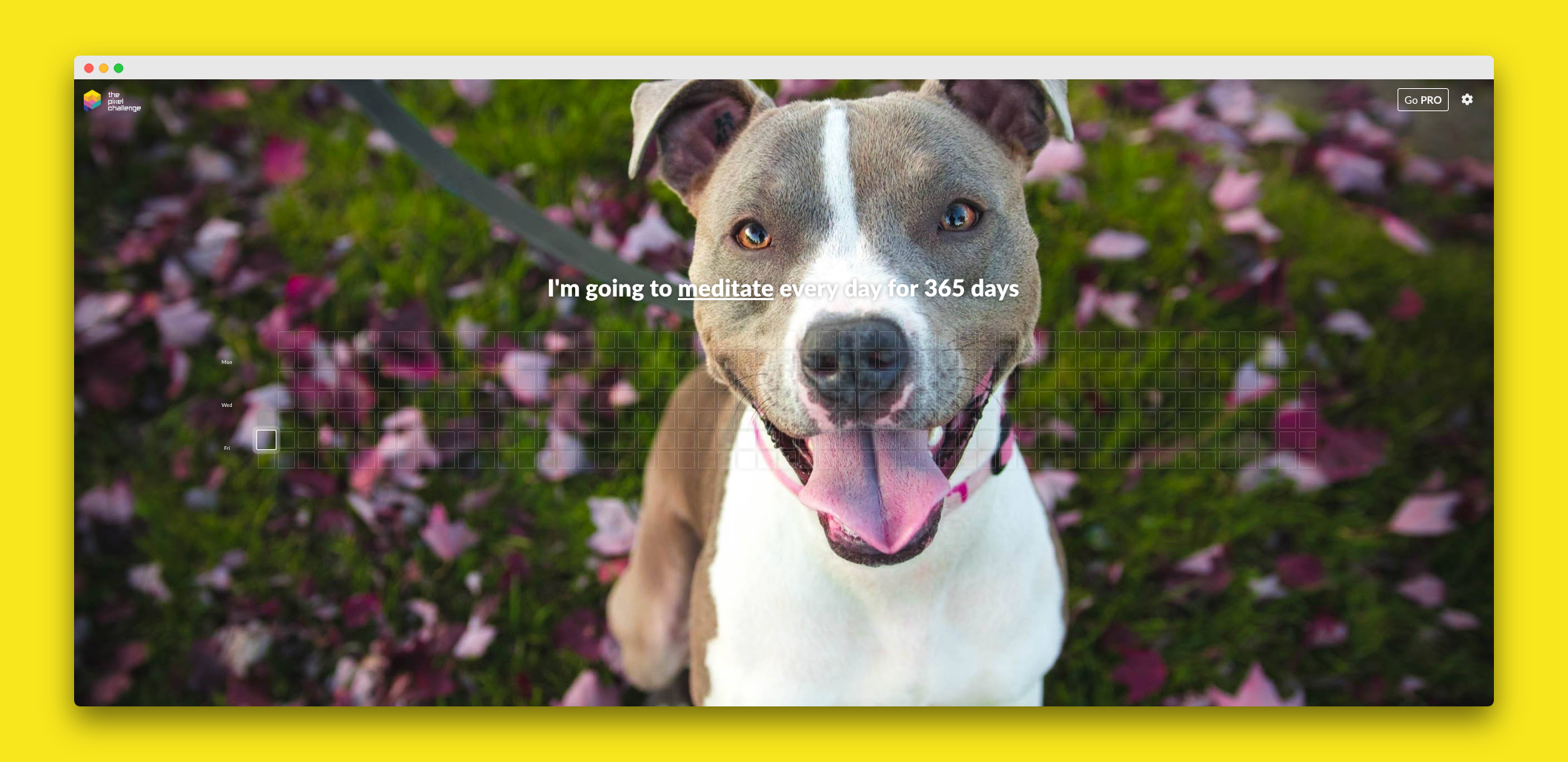 The Pixel Challenge gallery image