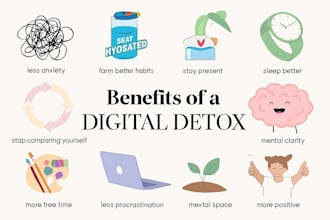 itsriddhi gallery image