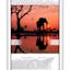 Nature Magazine on phlow zone