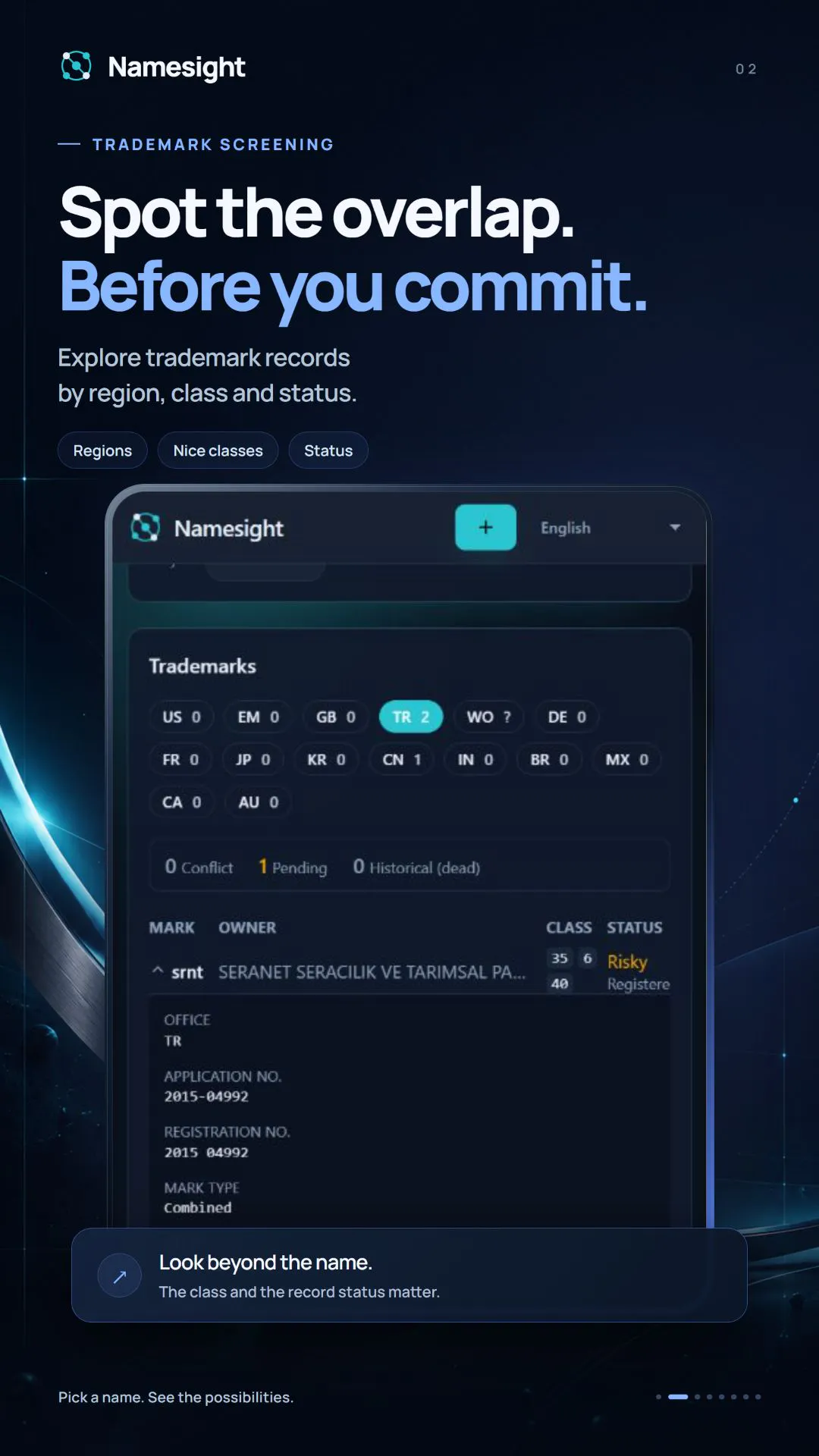 Namesight screenshot