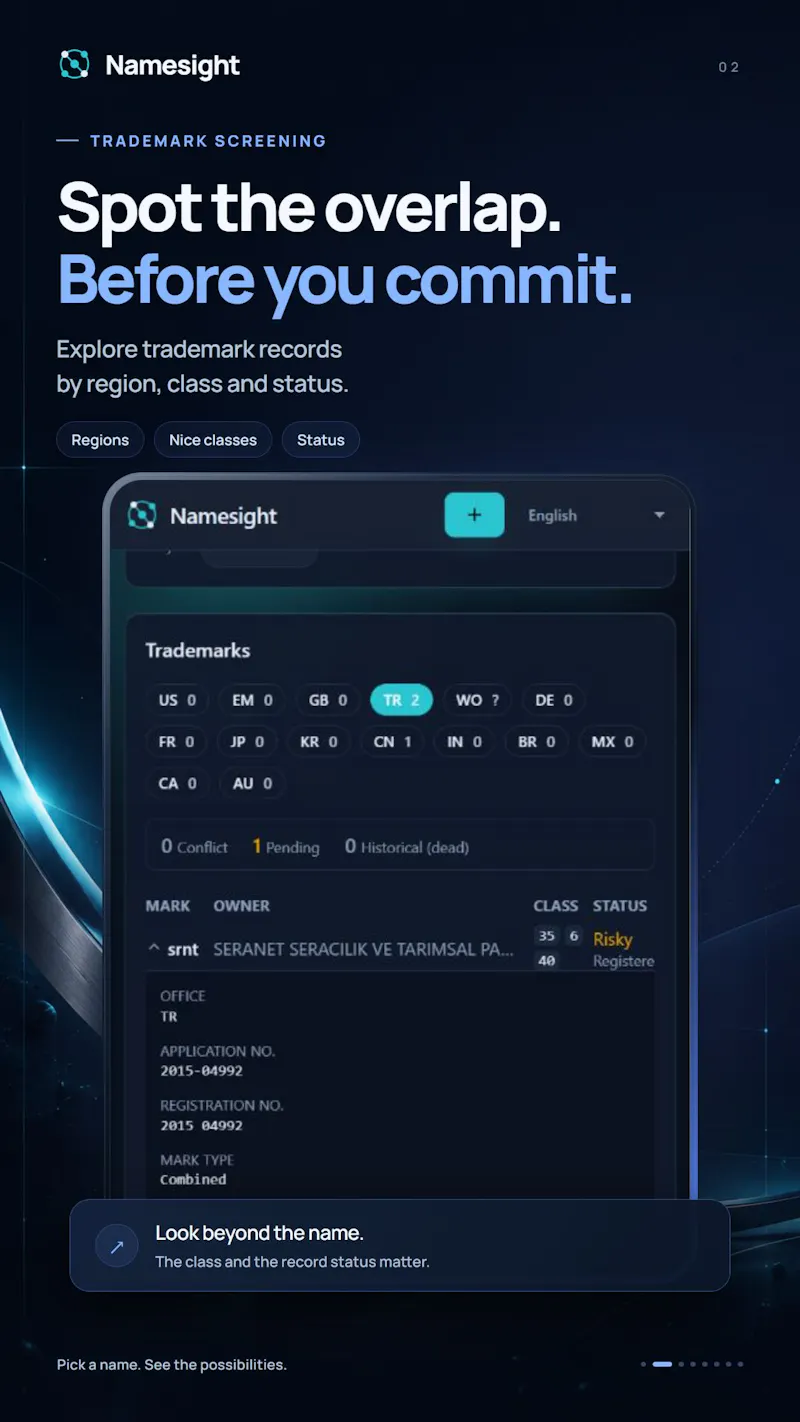 Namesight screenshot 4