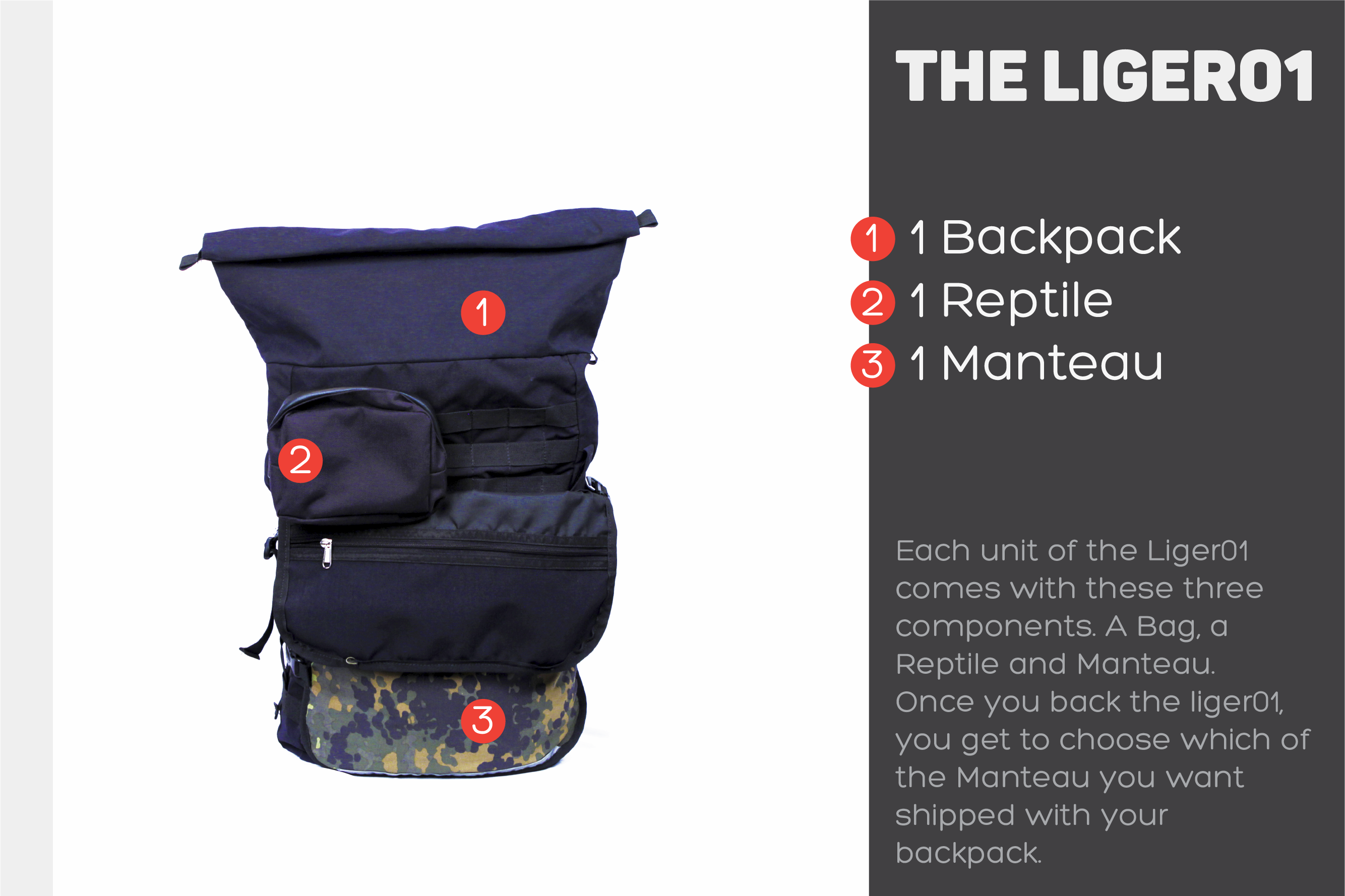 Liger01 Backpack gallery image