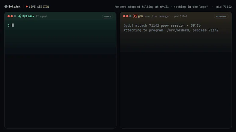 Coding harness for C/C++ developers gallery image