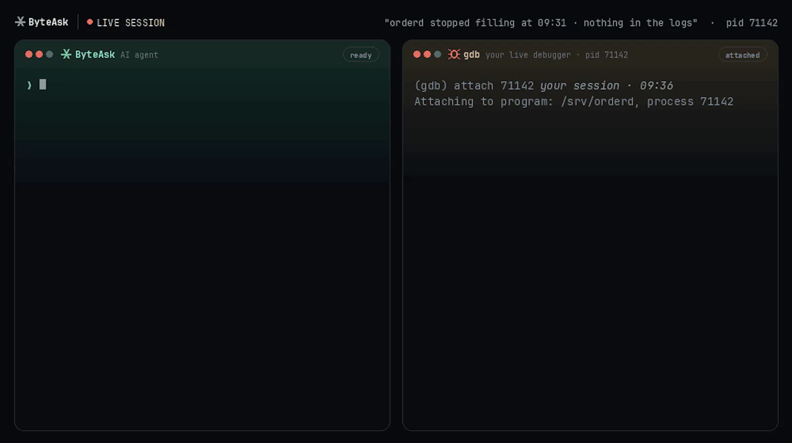 Coding harness for C/C++ developers screenshot 2