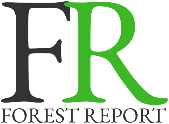 Forest Report