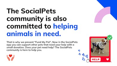 SocialPets gallery image