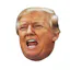Trump Sounds