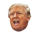 Trump Sounds