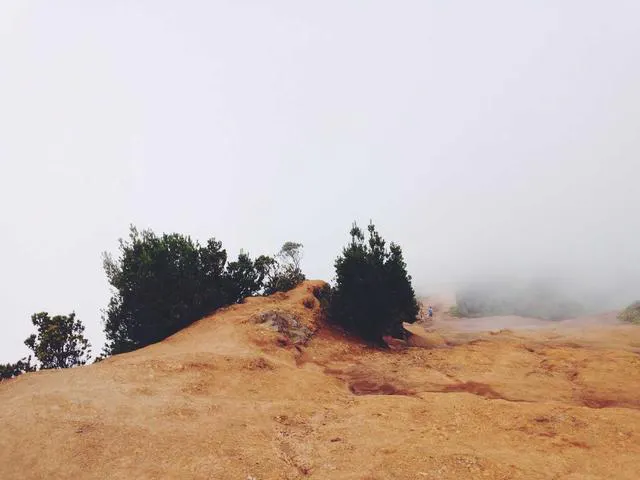 Trip.Planner gallery image