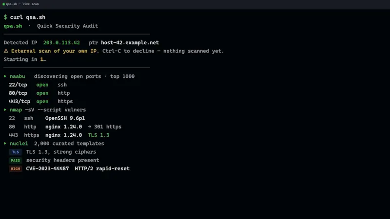 qsa.sh  screenshot 2