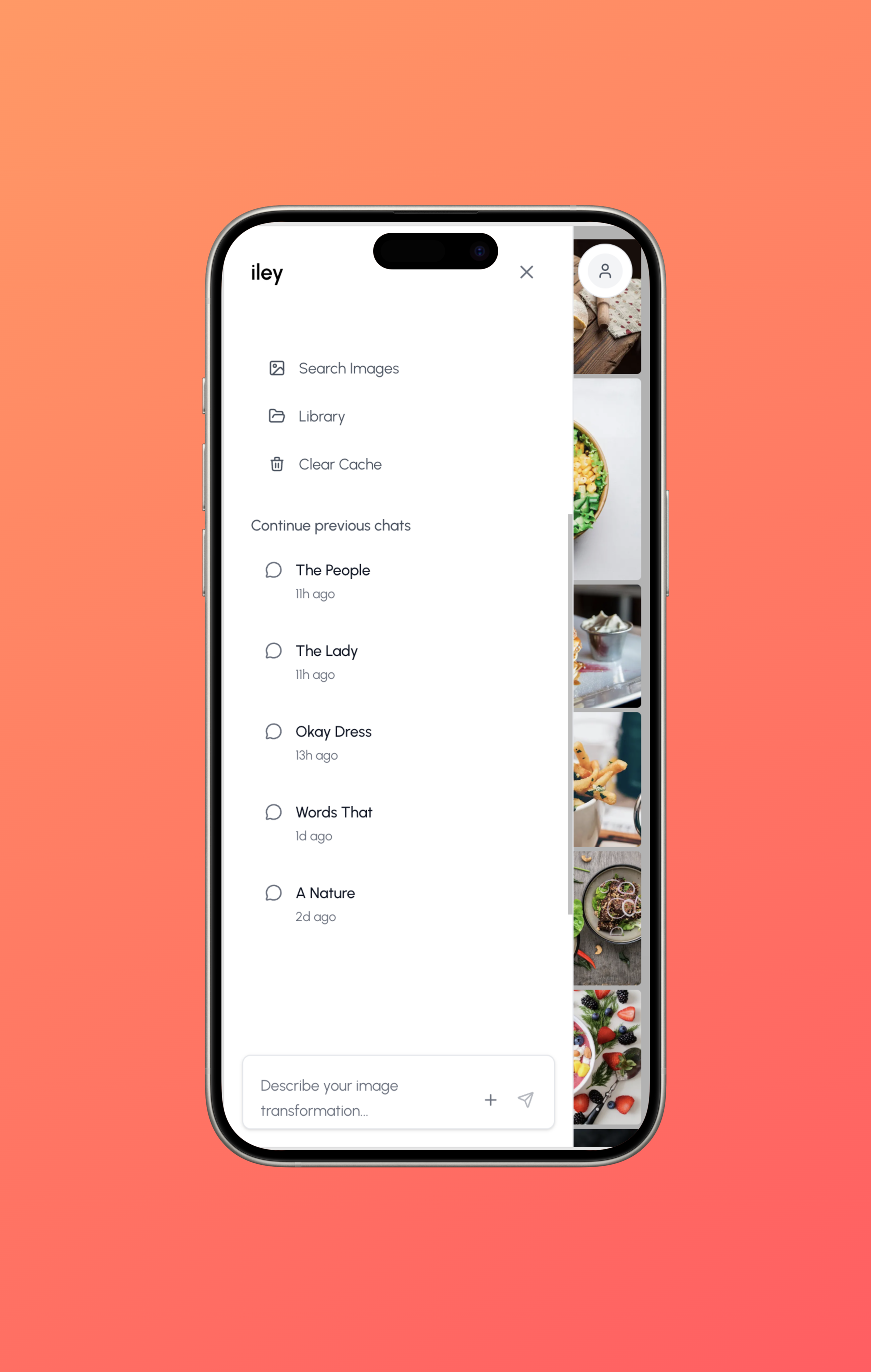 Média Iley - Transformez les images avec des mots simples 4