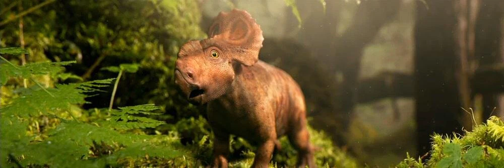 Maya Prohovnik cover