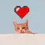 My Nine Lives