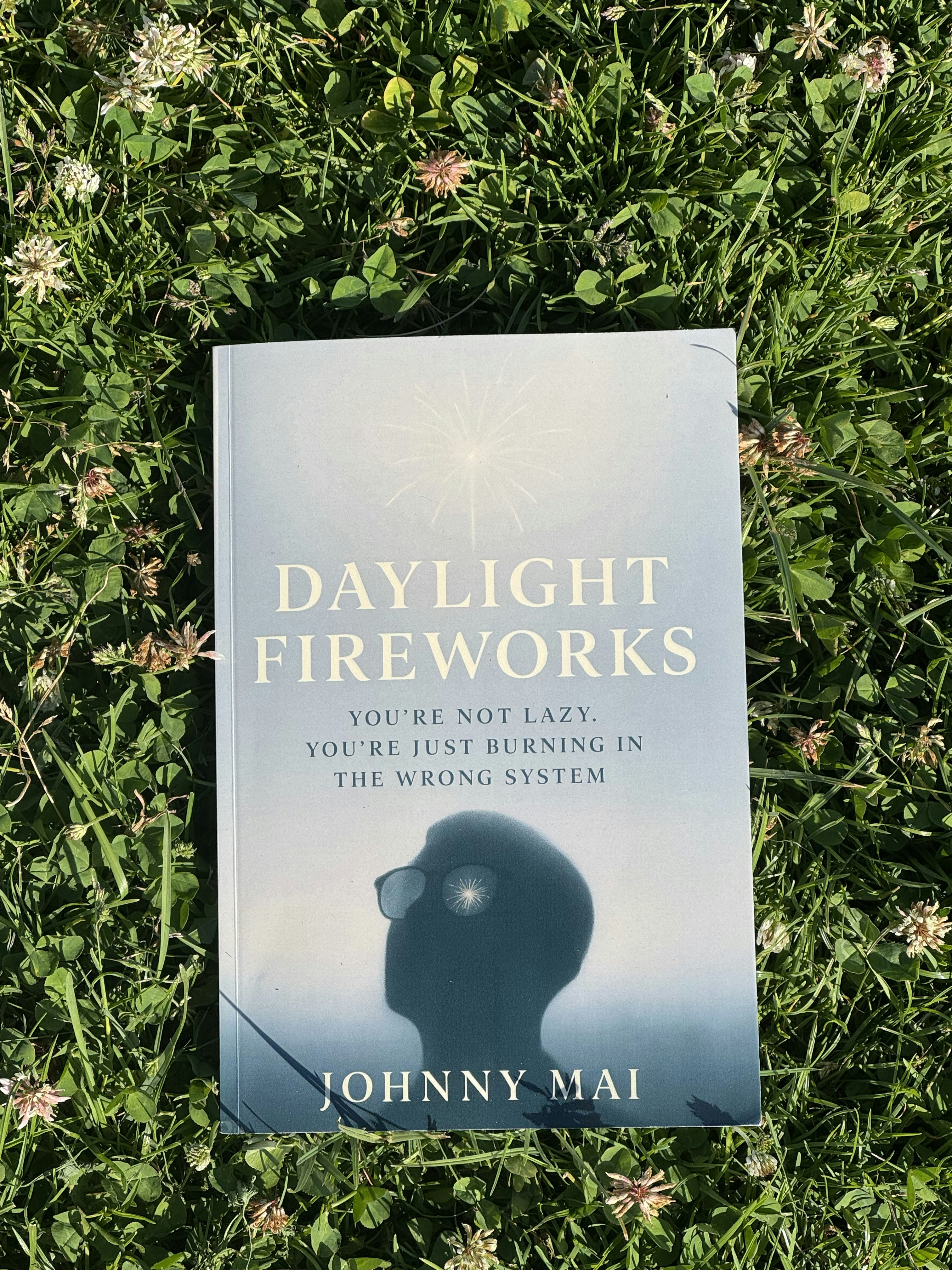 Média Feux d'artifice en lumière du jour - Livre de récupération épuise 3