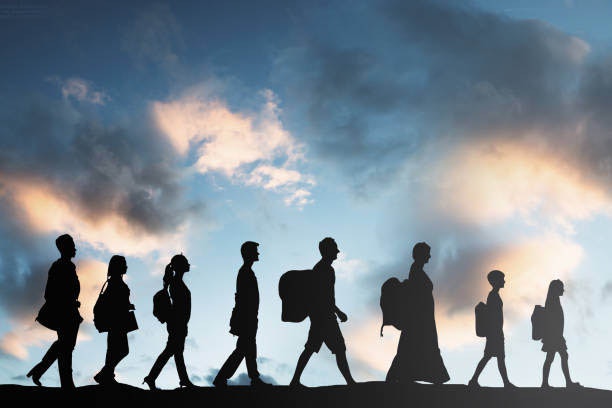 New Zealand Citizen Family Subclass 461 - New Zealand Citizen Family Subclass 461 Visa media 6