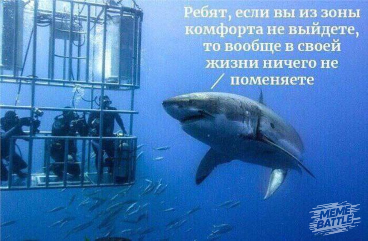 Meme Battle Com gallery image