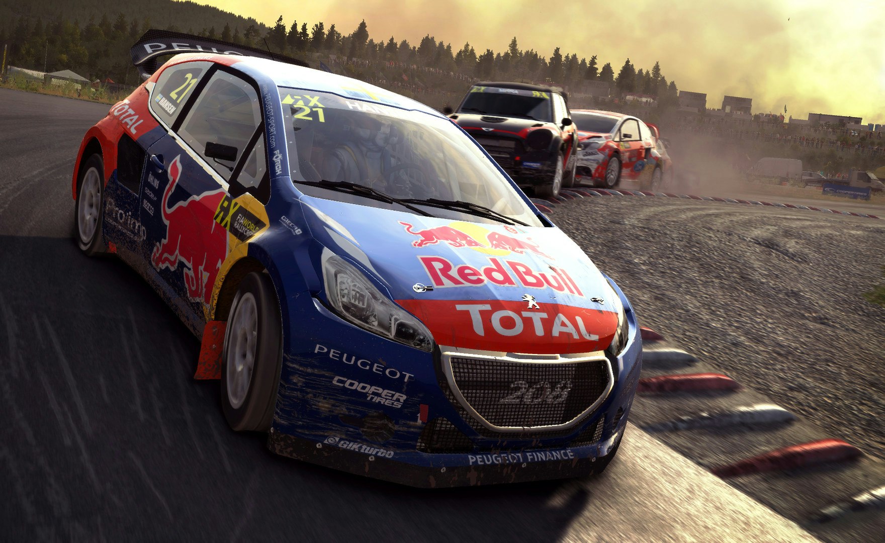 DiRT Rally gallery image
