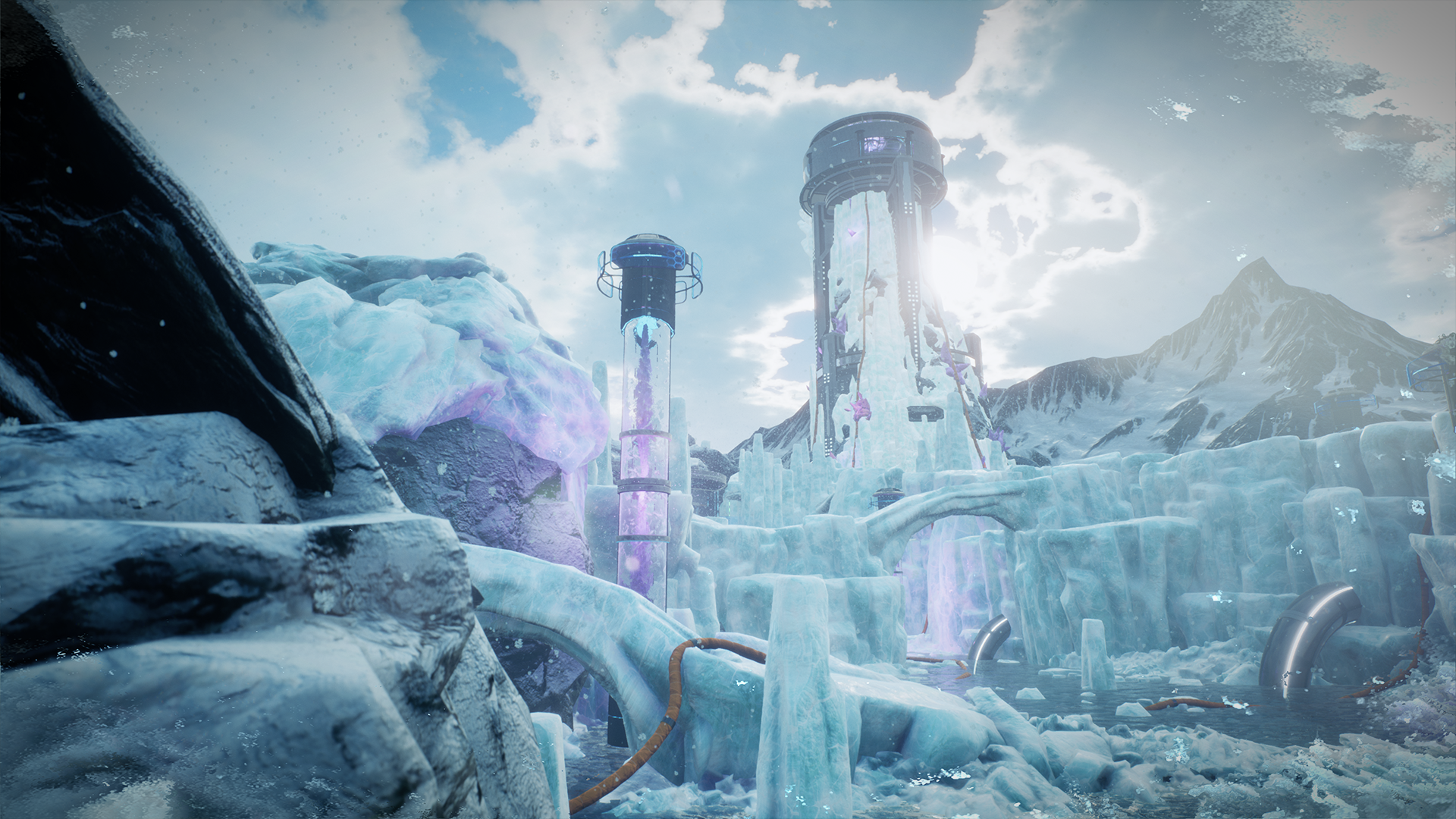 Relicta gallery image