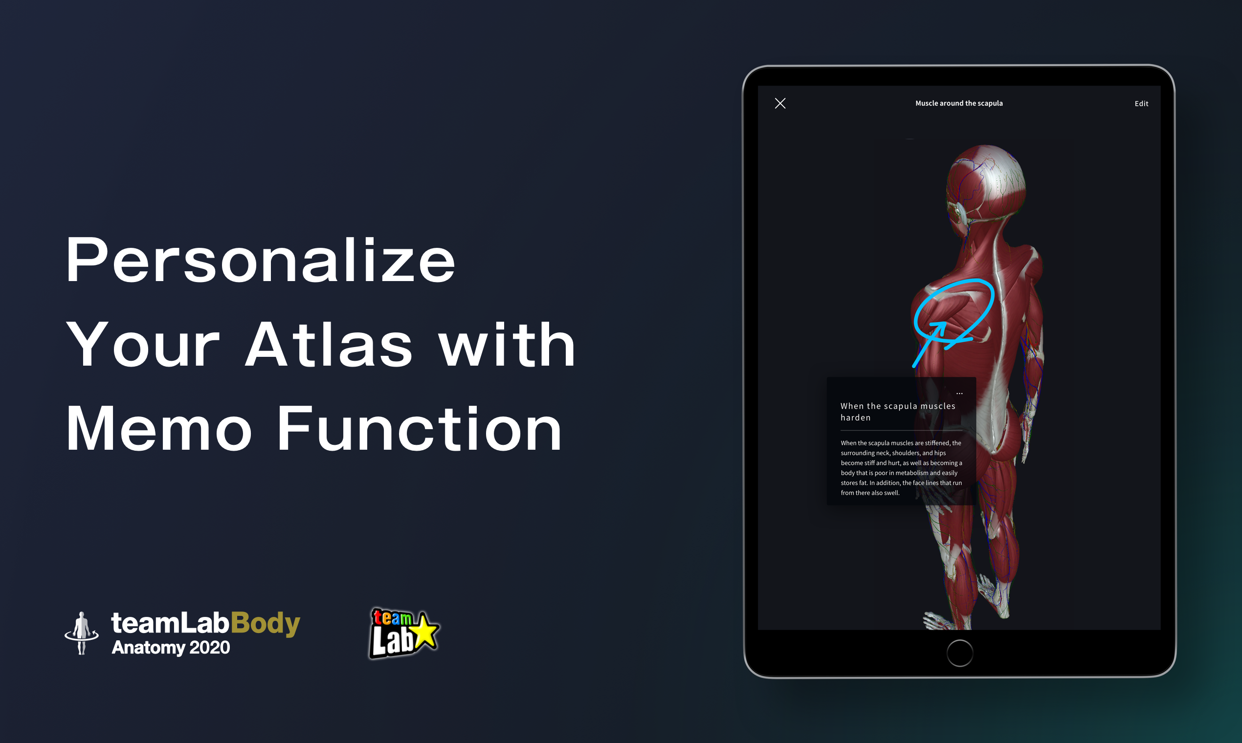 3D anatomy by teamLabBody gallery image