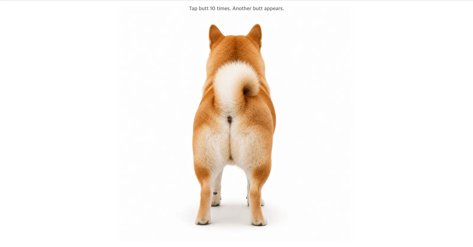 Shiba Squish screenshot 1