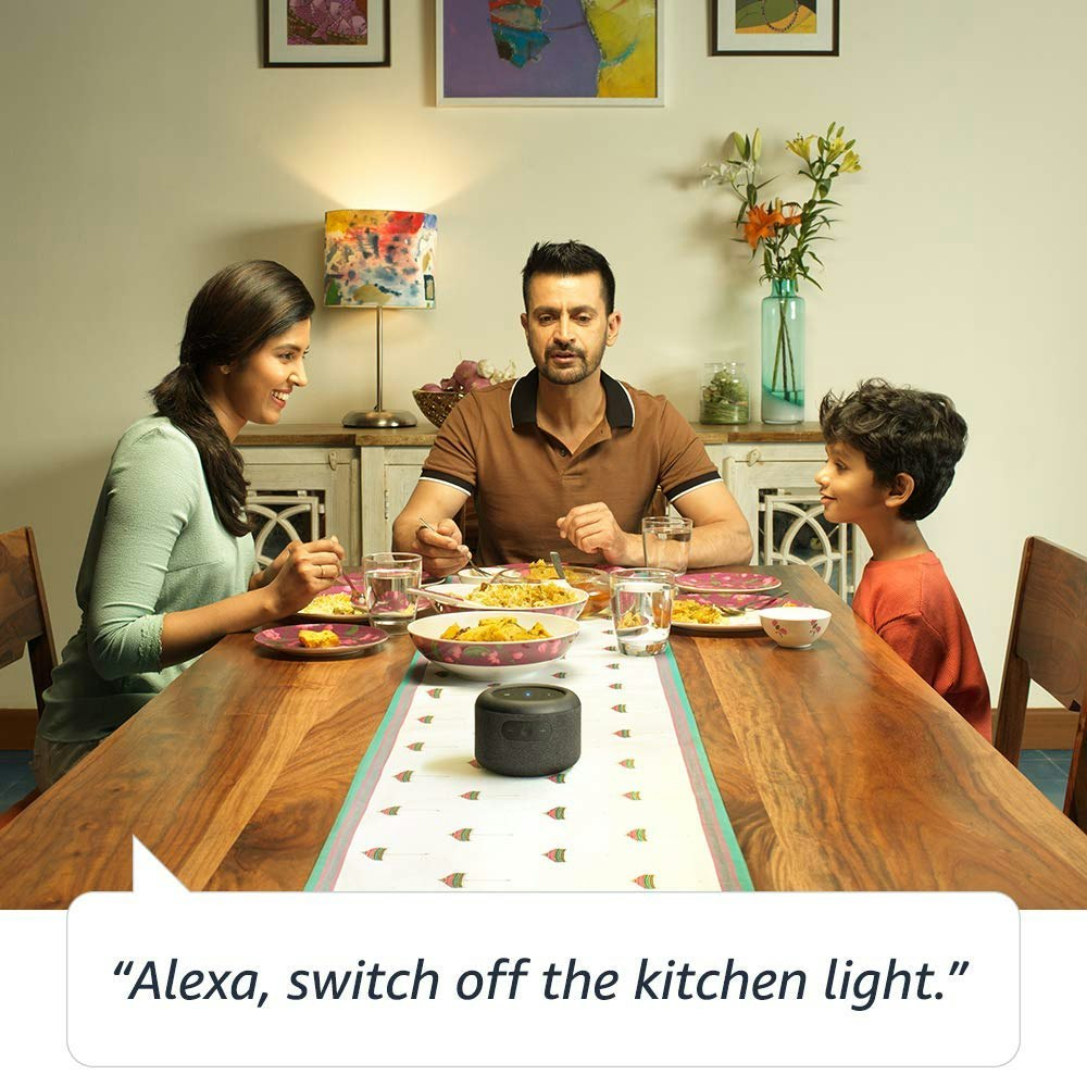 Portable Echo Input gallery image