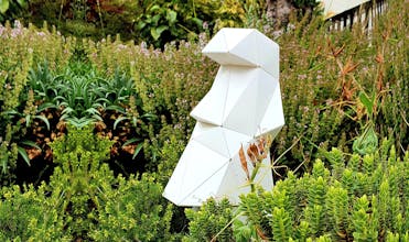 CARAPACES: First DIY Origami 3D Puzzle gallery image