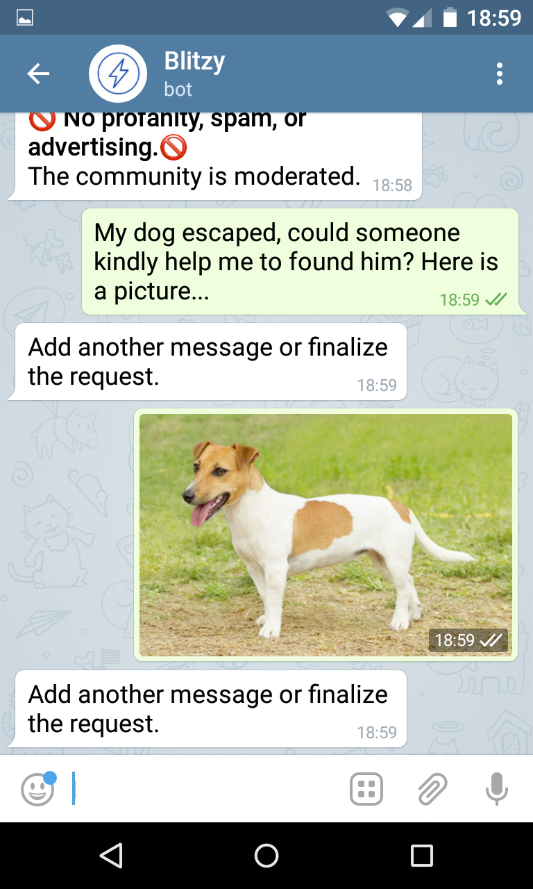 Blitzy gallery image