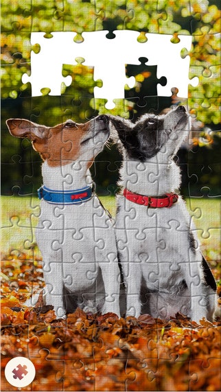 Real Jigsaw Puzzle gallery image