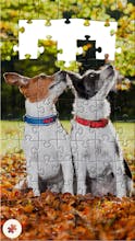 Real Jigsaw Puzzle gallery image