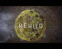 REWILD media 1