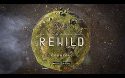 REWILD media 1
