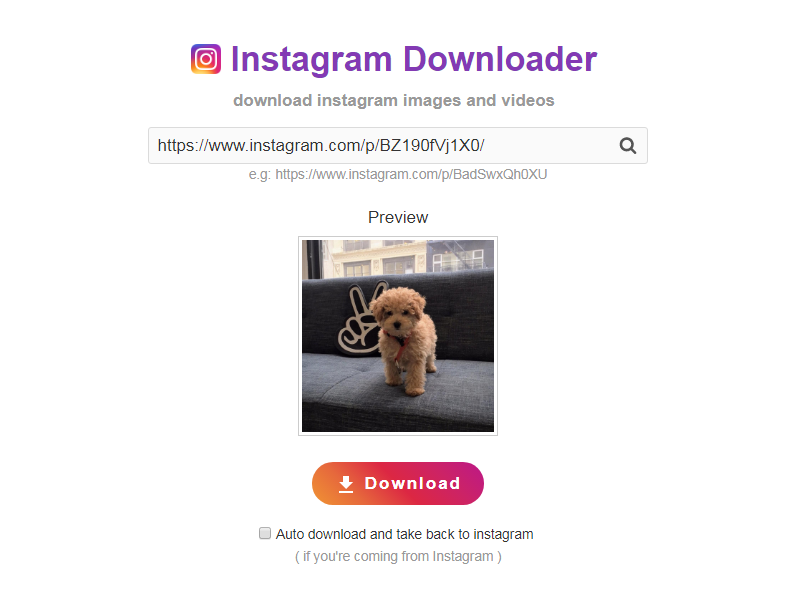 Instagram Image & Video Downloader gallery image