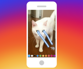 How to Use Instagram Stories: Everything You Need to Know 
