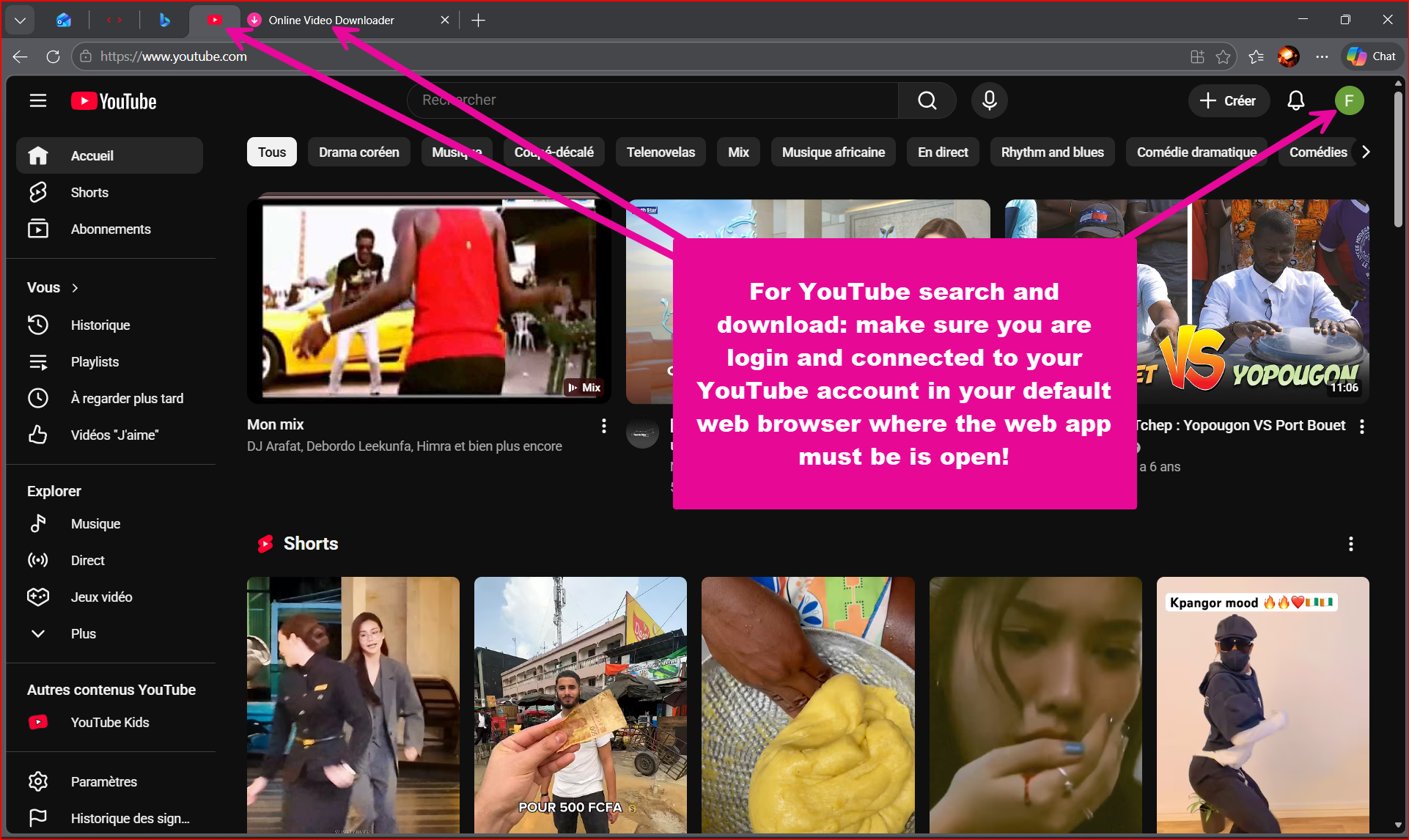 Online Video Downloader gallery image