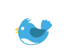 Sparrow logo