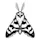 Moth