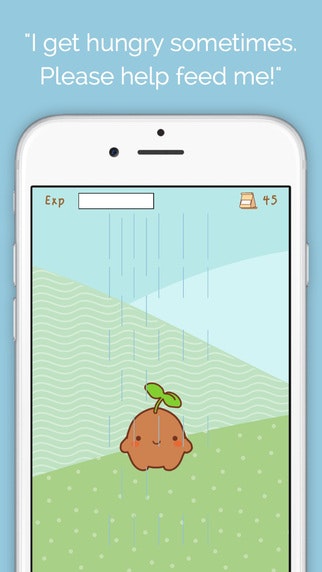 Seedlings gallery image