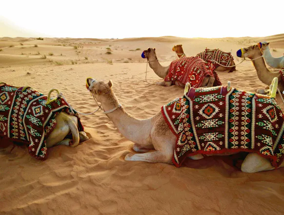 Sunrise Desert Safari in Dubai gallery image