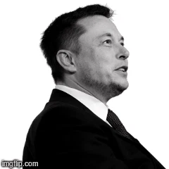 Random Elon