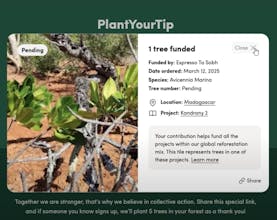 Plant Your Tip! gallery image