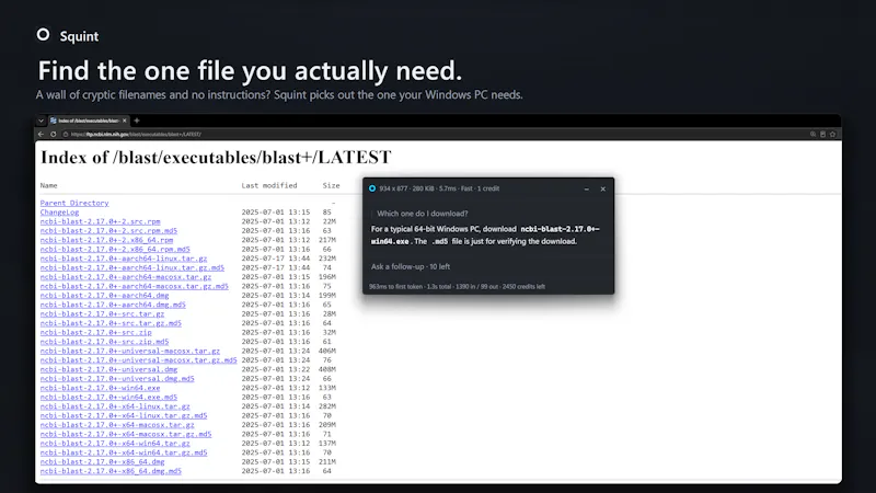 Squint screenshot 5