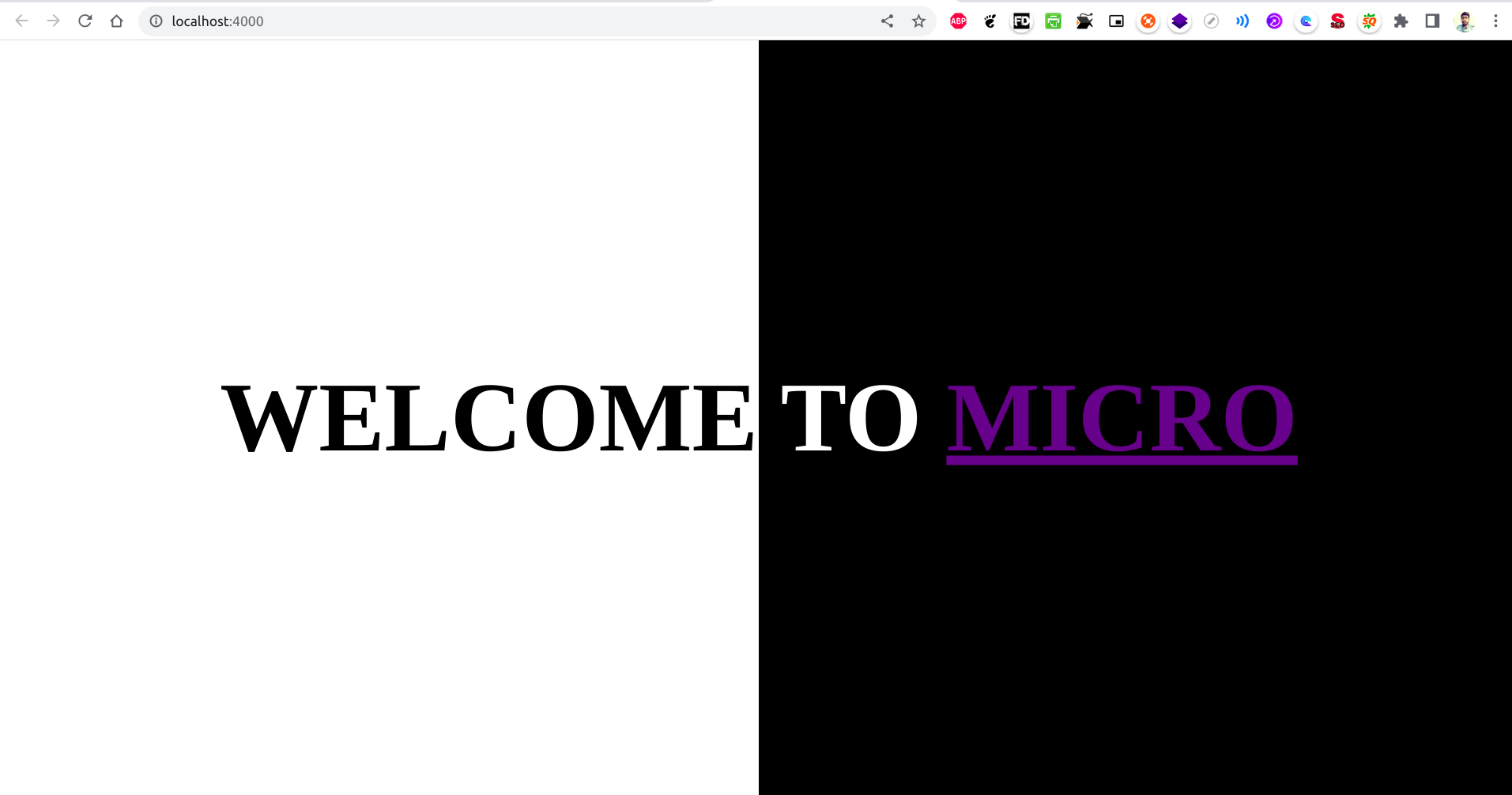 Micro
