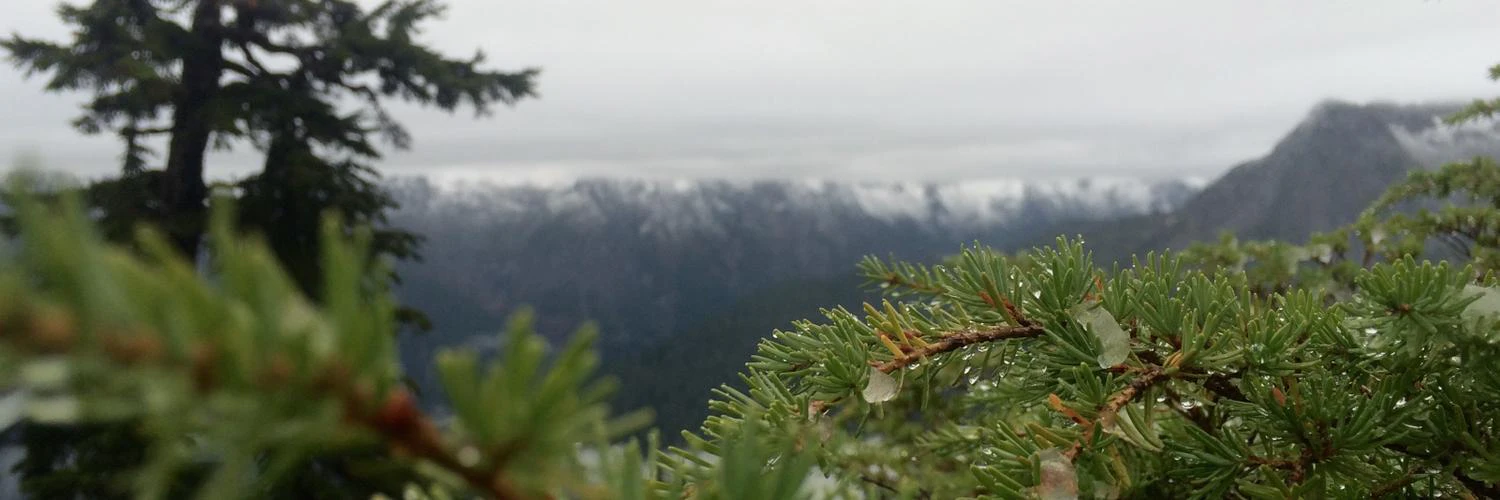 Cameron Little cover