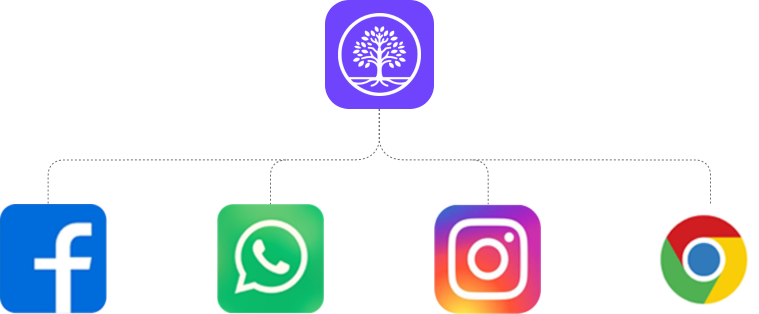 NewOaks AI - Main product screenshot demonstrating key features and user interface